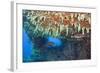 Soft Corals in Overhang, Maldives-Reinhard Dirscherl-Framed Photographic Print