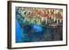 Soft Corals in Overhang, Maldives-Reinhard Dirscherl-Framed Photographic Print