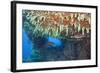 Soft Corals in Overhang, Maldives-Reinhard Dirscherl-Framed Photographic Print