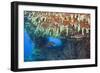 Soft Corals in Overhang, Maldives-Reinhard Dirscherl-Framed Photographic Print