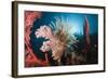 Soft Corals on Reef-Reinhard Dirscherl-Framed Photographic Print