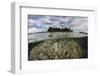 Soft Corals Thrive on a Reef in the Solomon Islands-Stocktrek Images-Framed Photographic Print