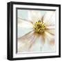 Soft Cosmos-Donna Geissler-Framed Giclee Print