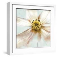 Soft Cosmos-Donna Geissler-Framed Giclee Print