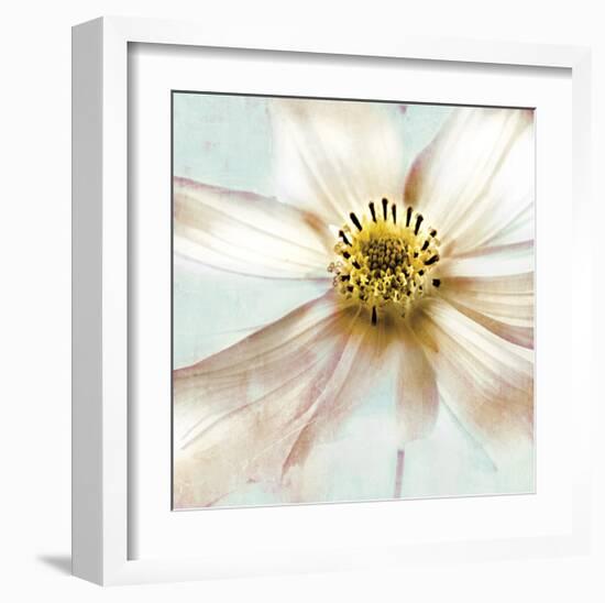 Soft Cosmos-Donna Geissler-Framed Giclee Print