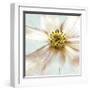 Soft Cosmos-Donna Geissler-Framed Giclee Print