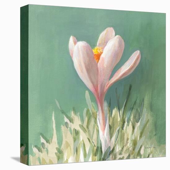 Soft Crocus-Danhui Nai-Stretched Canvas