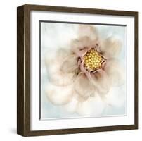 Soft Dahlia-Donna Geissler-Framed Giclee Print