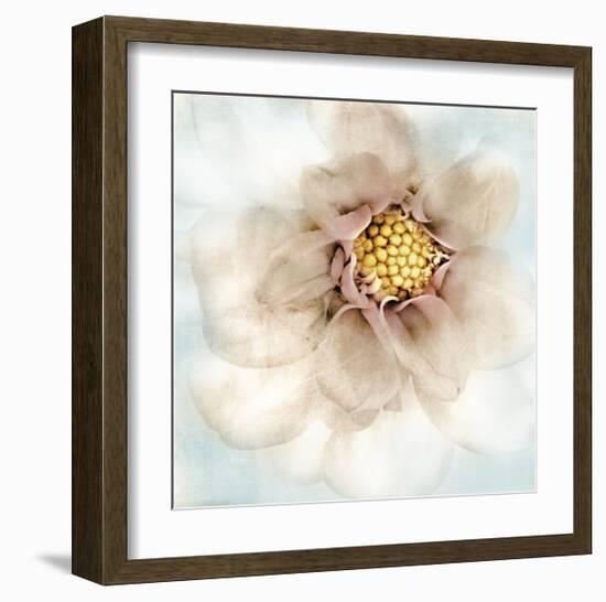 Soft Dahlia-Donna Geissler-Framed Giclee Print