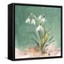 Soft Dewdrops-Danhui Nai-Framed Stretched Canvas