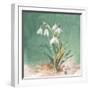 Soft Dewdrops-Danhui Nai-Framed Art Print