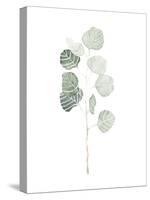 Soft Eucalyptus Branch I-Emma Scarvey-Stretched Canvas