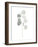 Soft Eucalyptus Branch I-Emma Scarvey-Framed Art Print