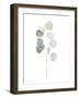 Soft Eucalyptus Branch I-Emma Scarvey-Framed Art Print