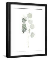 Soft Eucalyptus Branch I-Emma Scarvey-Framed Art Print