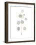 Soft Eucalyptus Branch II-Emma Scarvey-Framed Art Print