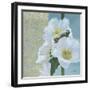 Soft Evening I-Kathrine Lovell-Framed Art Print