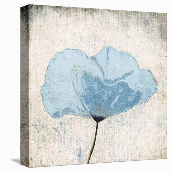 Soft Floral Blue-Jace Grey-Stretched Canvas