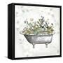 Soft Floral Tub II-null-Framed Stretched Canvas