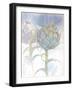 Soft Flowers 2-Emma Catherine Debs-Framed Art Print