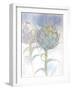 Soft Flowers 2-Emma Catherine Debs-Framed Art Print