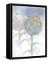 Soft Flowers 2-Emma Catherine Debs-Framed Stretched Canvas