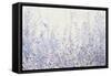 Soft Focus I-Tim OToole-Framed Stretched Canvas