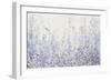 Soft Focus I-Tim OToole-Framed Premium Giclee Print