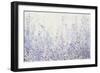 Soft Focus I-Tim OToole-Framed Art Print