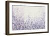 Soft Focus II-Tim OToole-Framed Art Print