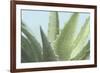 Soft Focus Succulent 1-Julie Greenwood-Framed Premium Giclee Print