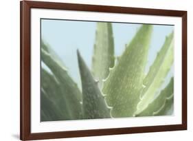 Soft Focus Succulent 1-Julie Greenwood-Framed Premium Giclee Print