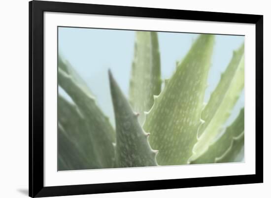 Soft Focus Succulent 1-Julie Greenwood-Framed Premium Giclee Print