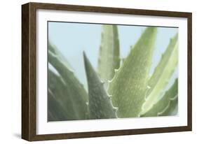 Soft Focus Succulent 1-Julie Greenwood-Framed Art Print