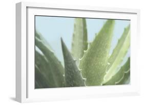 Soft Focus Succulent 1-Julie Greenwood-Framed Art Print