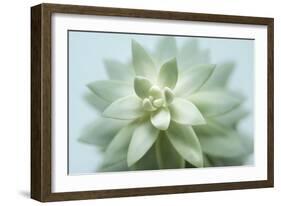 Soft Focus Succulent 2-Julie Greenwood-Framed Art Print