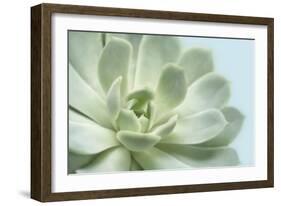 Soft Focus Succulent 3-Julie Greenwood-Framed Art Print