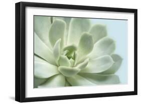 Soft Focus Succulent 3-Julie Greenwood-Framed Art Print