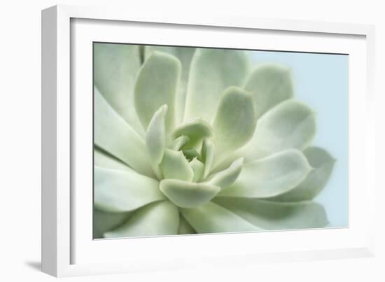 Soft Focus Succulent 3-Julie Greenwood-Framed Art Print