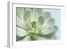 Soft Focus Succulent 3-Julie Greenwood-Framed Art Print