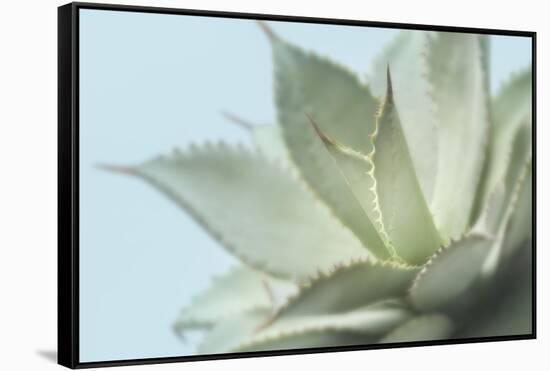 Soft Focus Succulent 4-Julie Greenwood-Framed Stretched Canvas