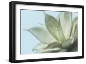 Soft Focus Succulent 4-Julie Greenwood-Framed Art Print