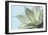 Soft Focus Succulent 4-Julie Greenwood-Framed Art Print