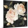 Soft Garden Roses II-Emma Caroline-Mounted Art Print