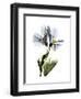 Soft Geranium Portrait-Albert Koetsier-Framed Premium Giclee Print