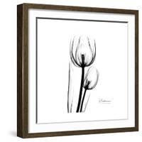 Soft Gray Tulips-Albert Koetsier-Framed Art Print