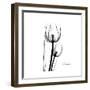 Soft Gray Tulips-Albert Koetsier-Framed Art Print