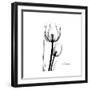 Soft Gray Tulips-Albert Koetsier-Framed Art Print