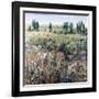 Soft Grove-Tim O'toole-Framed Giclee Print