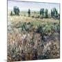 Soft Grove-Tim O'toole-Mounted Giclee Print